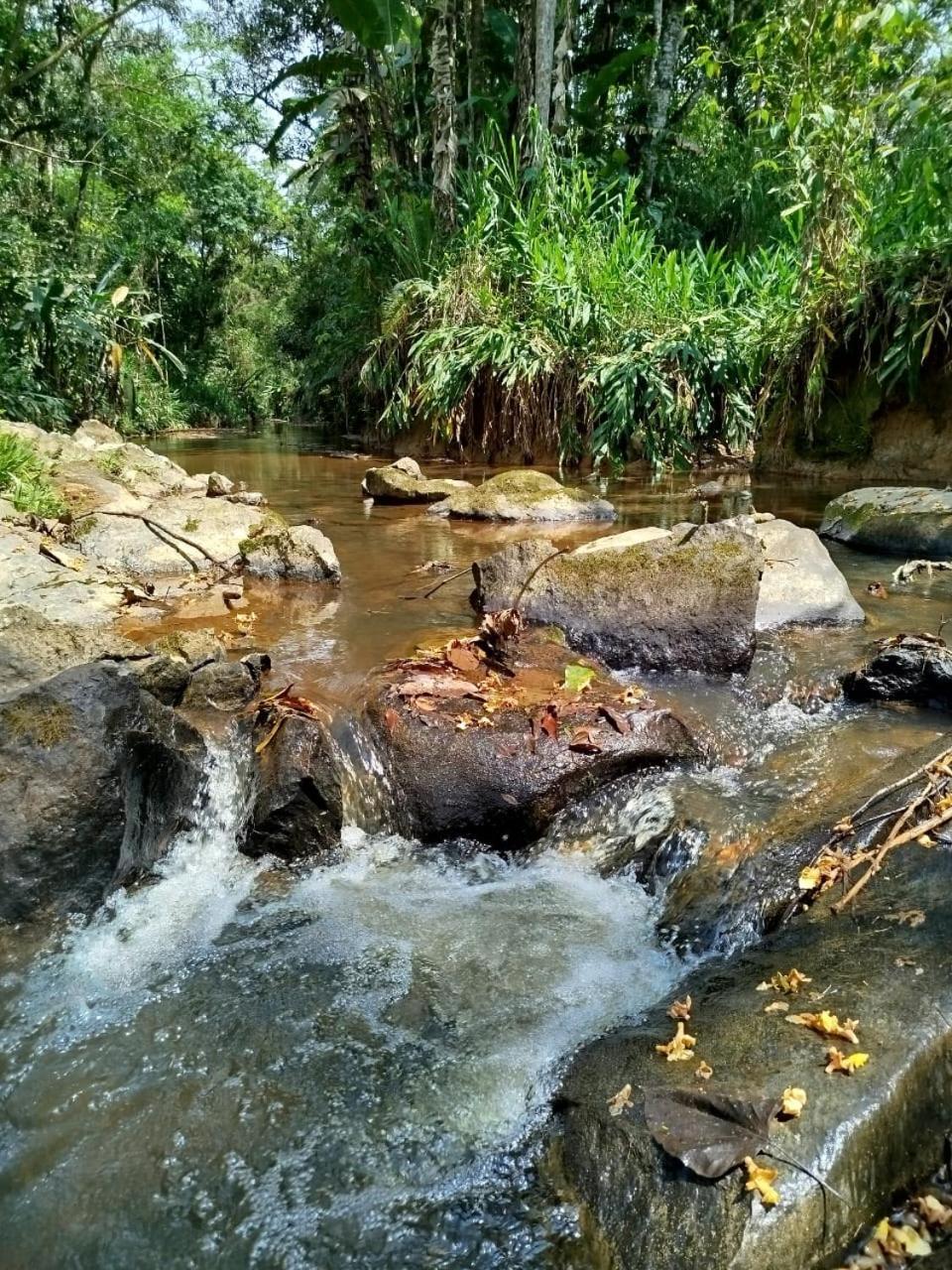 Pousada Gaiapia Морретис Экстерьер фото